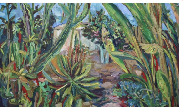 O Jardim e o Quintal