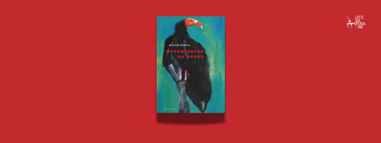 Desenterrar os ossos, de Priscila Branco
